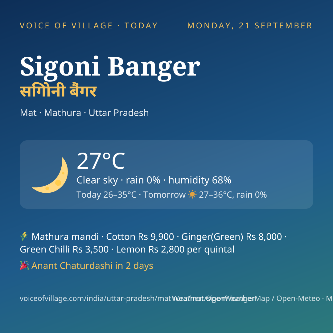 Sigoni Banger today