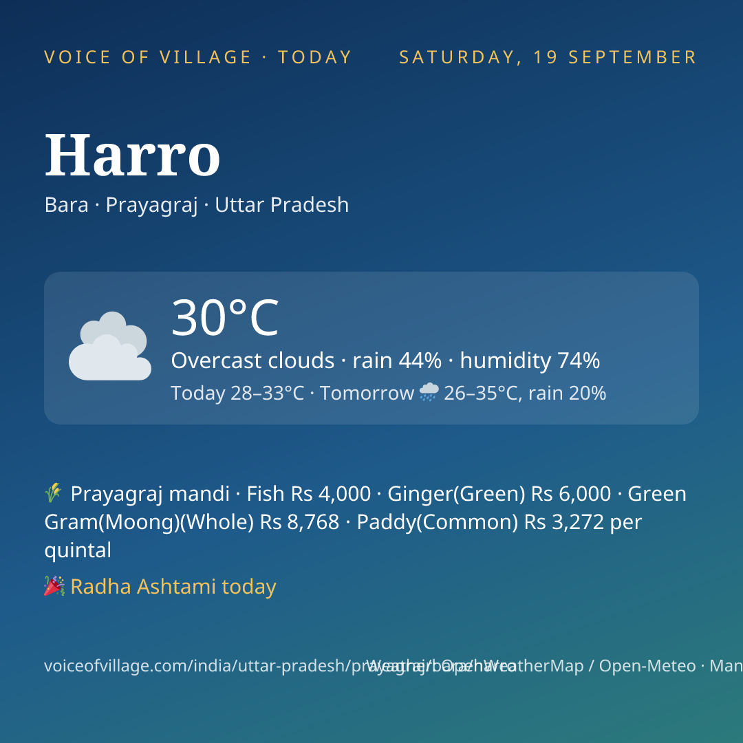 Harro today