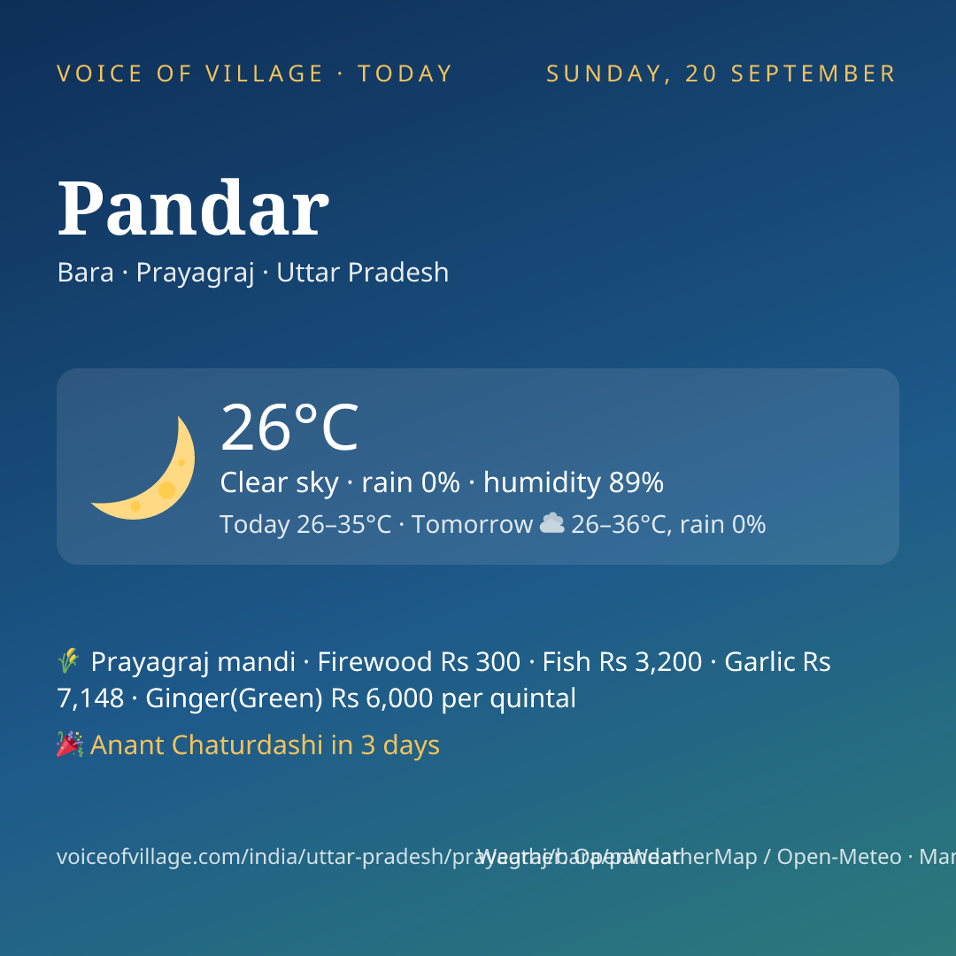 Pandar today