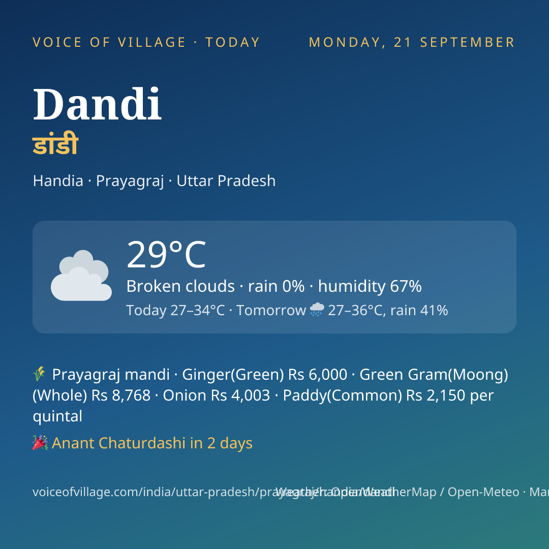 Dandi today