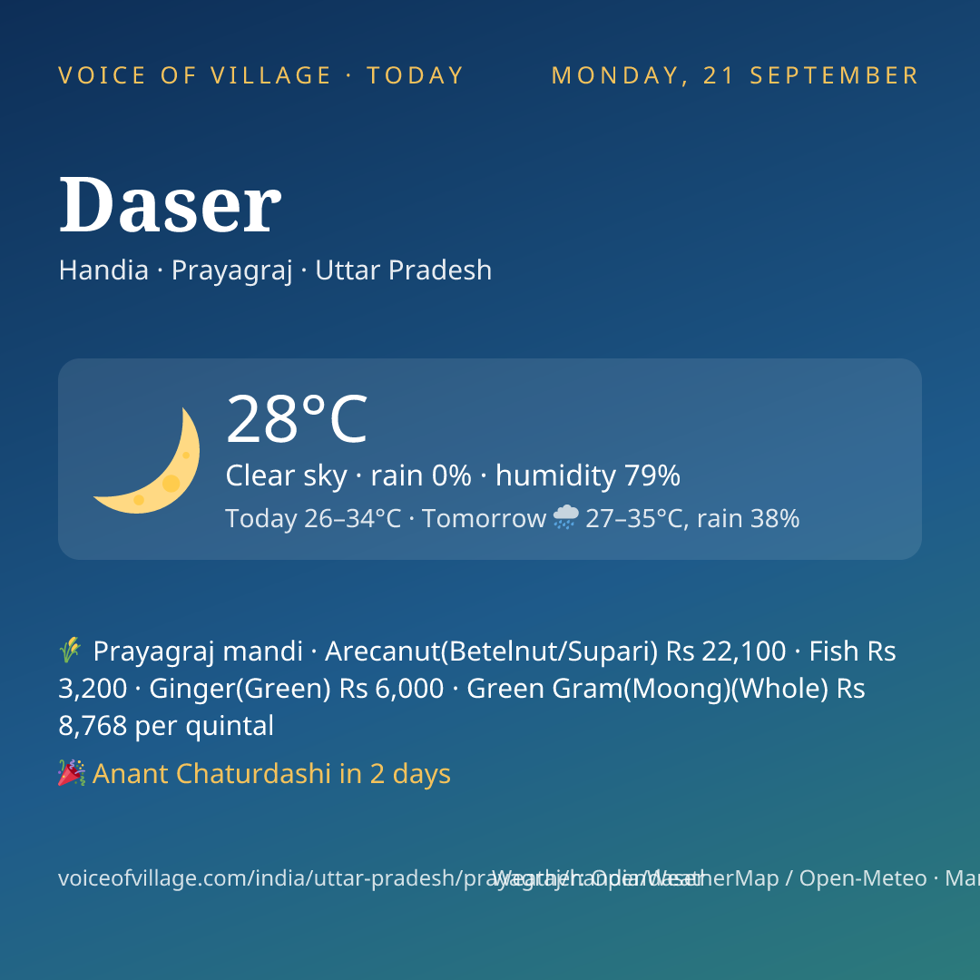 Daser today