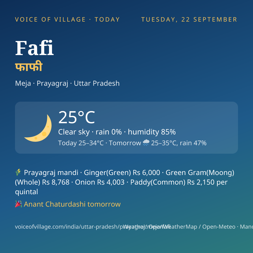 Fafi today