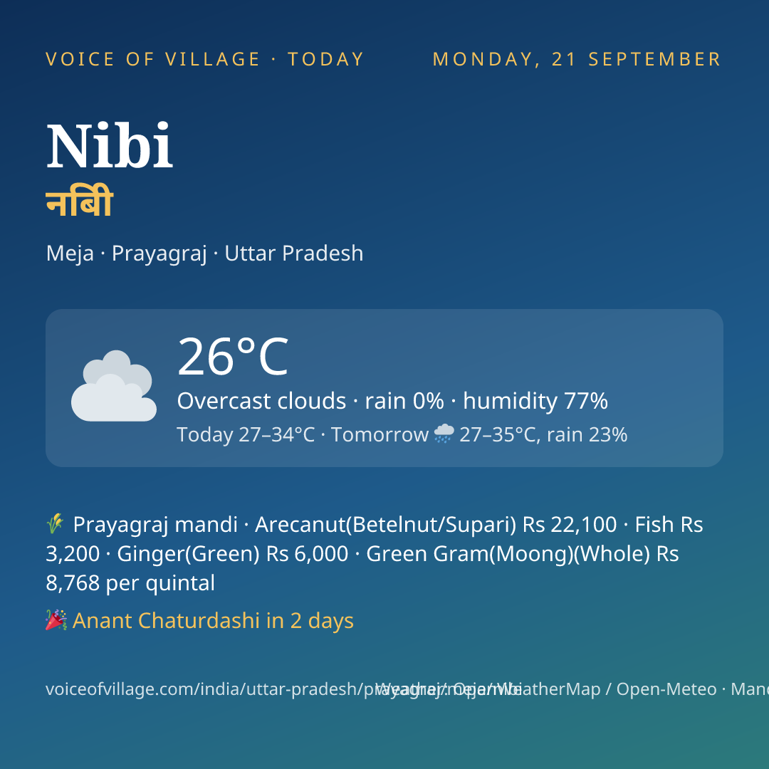 Nibi today