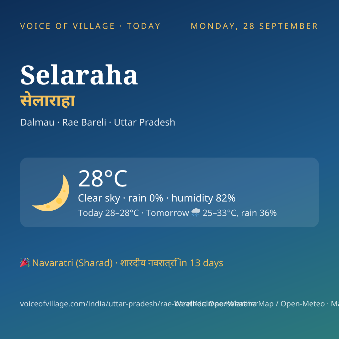 Selaraha today