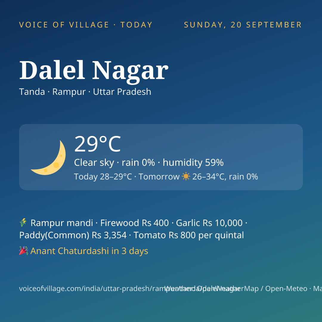 Dalel Nagar today