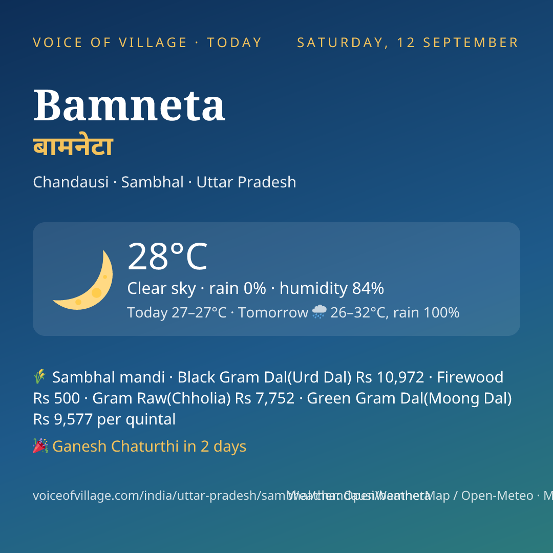 Bamneta today