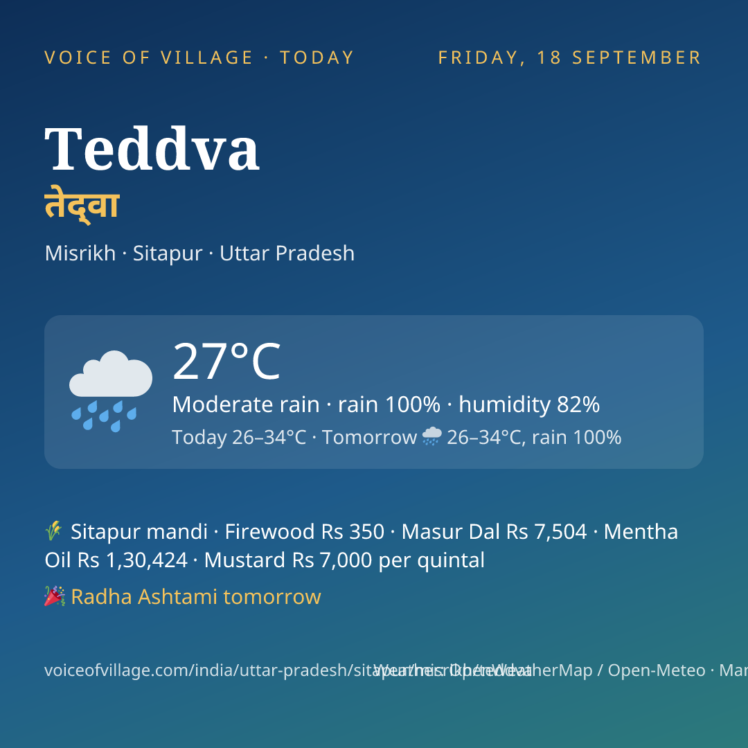 Teddva today