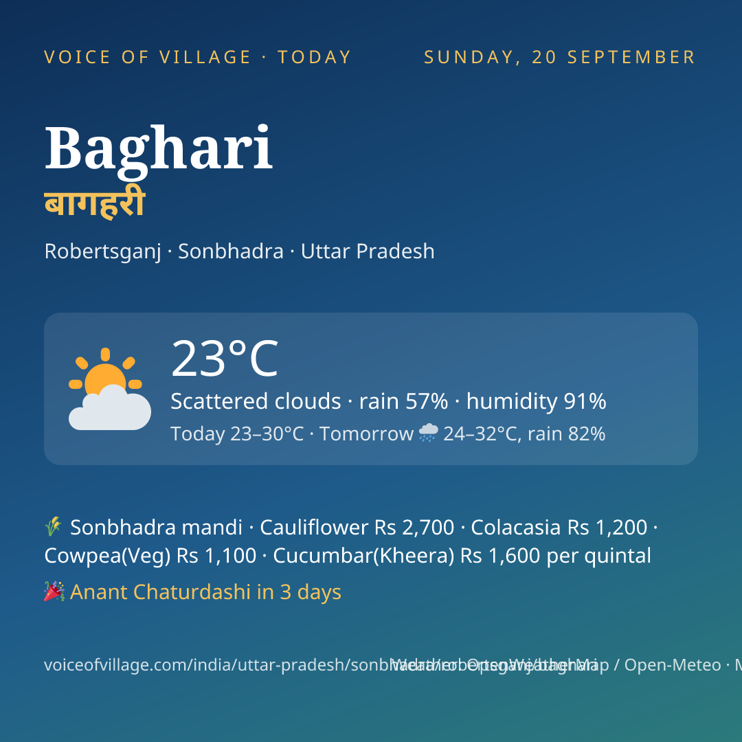 Baghari today