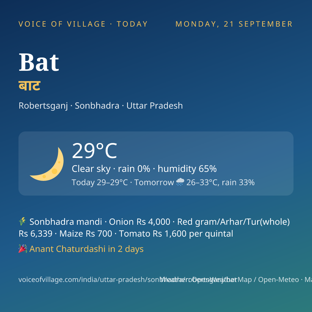 Bat today