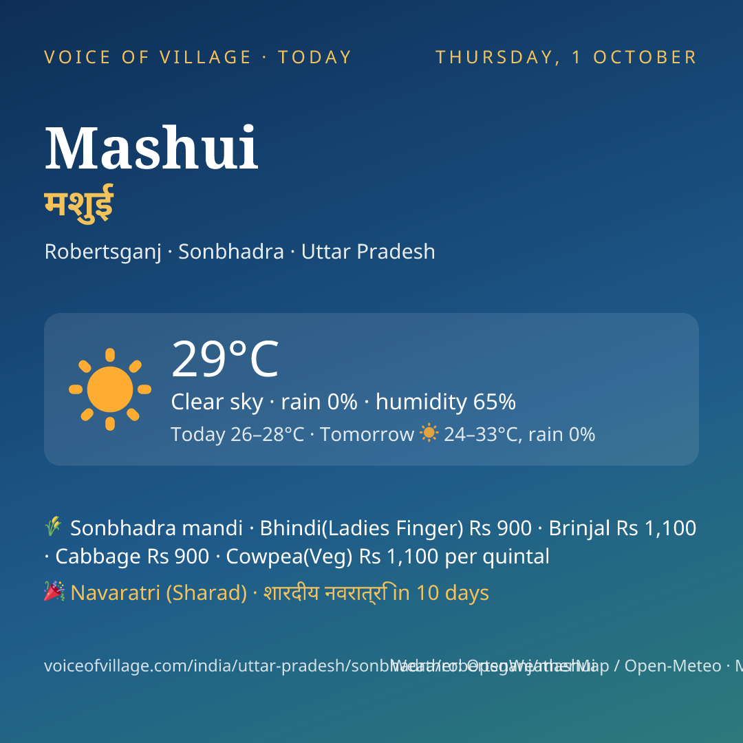 Mashui today