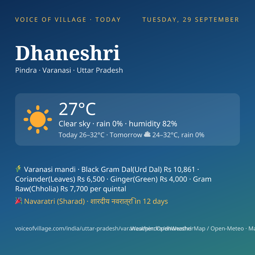Dhaneshri today