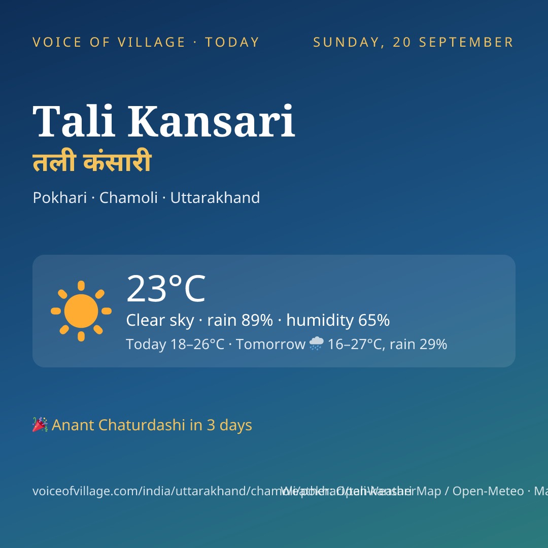 Tali Kansari today