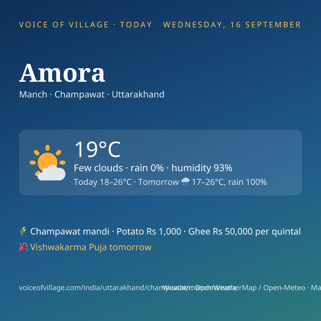 Amora today