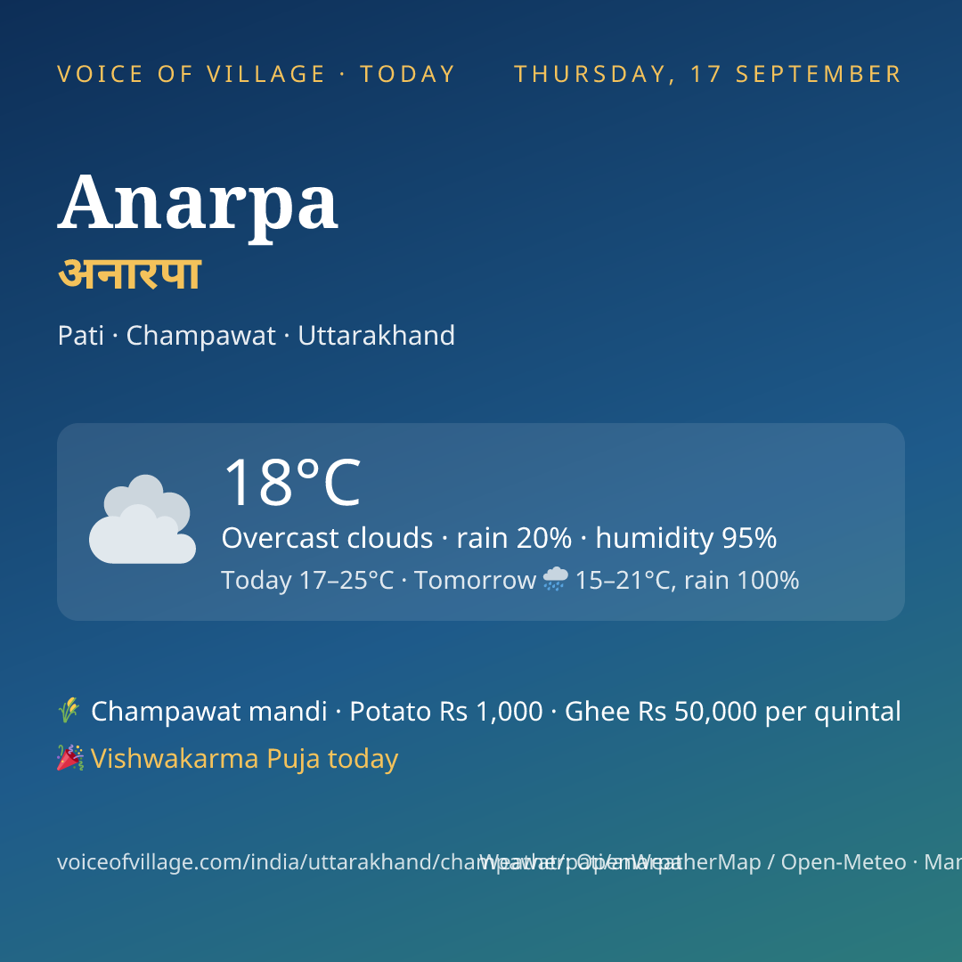 Anarpa today
