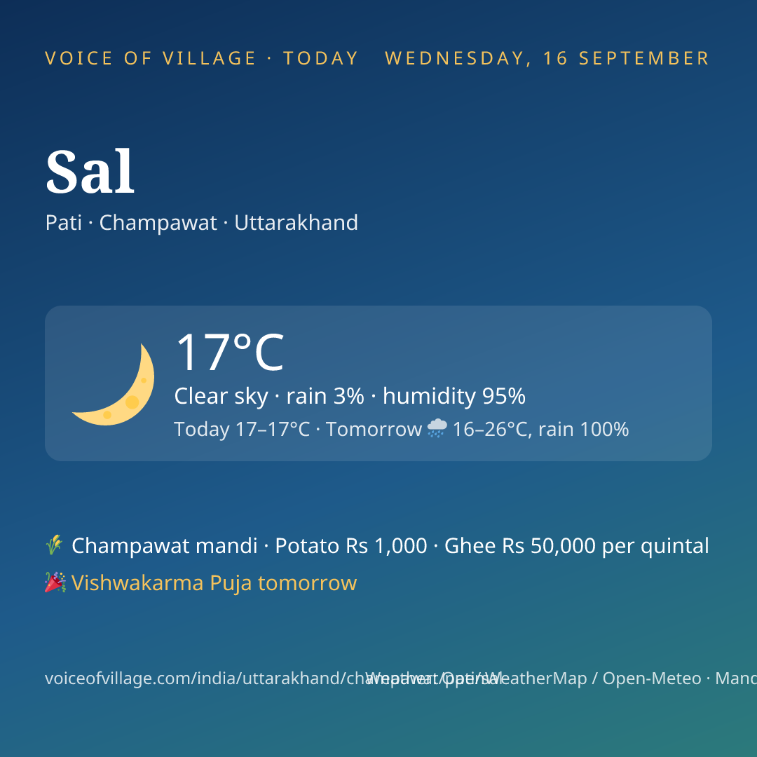 Sal today