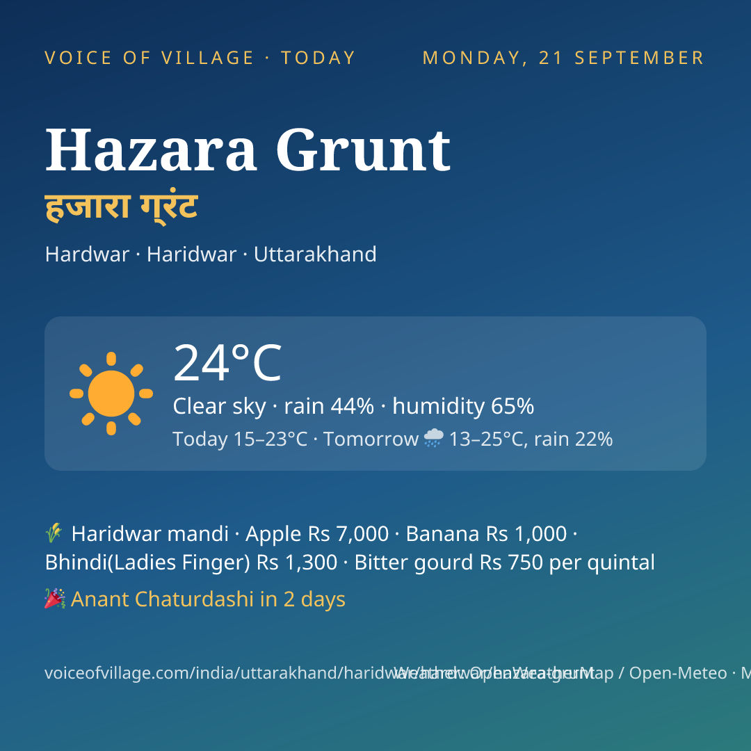 Hazara Grunt today
