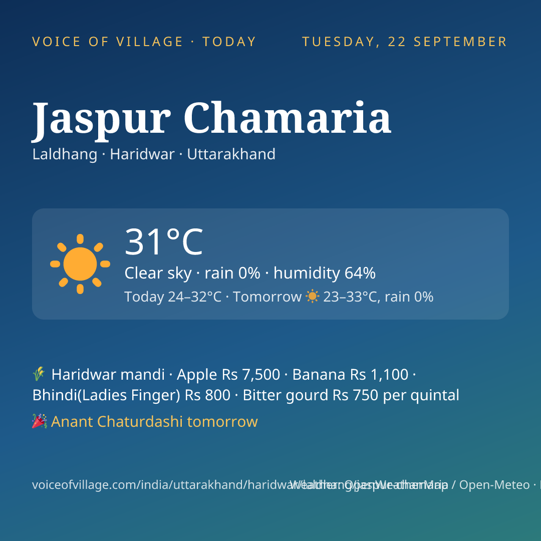 Jaspur Chamaria today