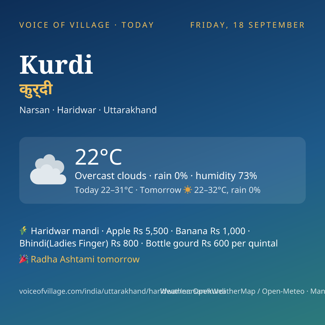 Kurdi today