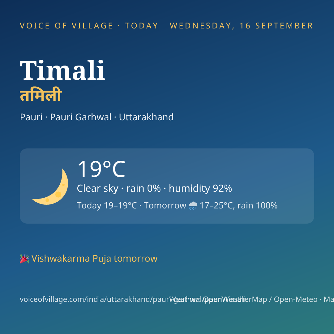 Timali today