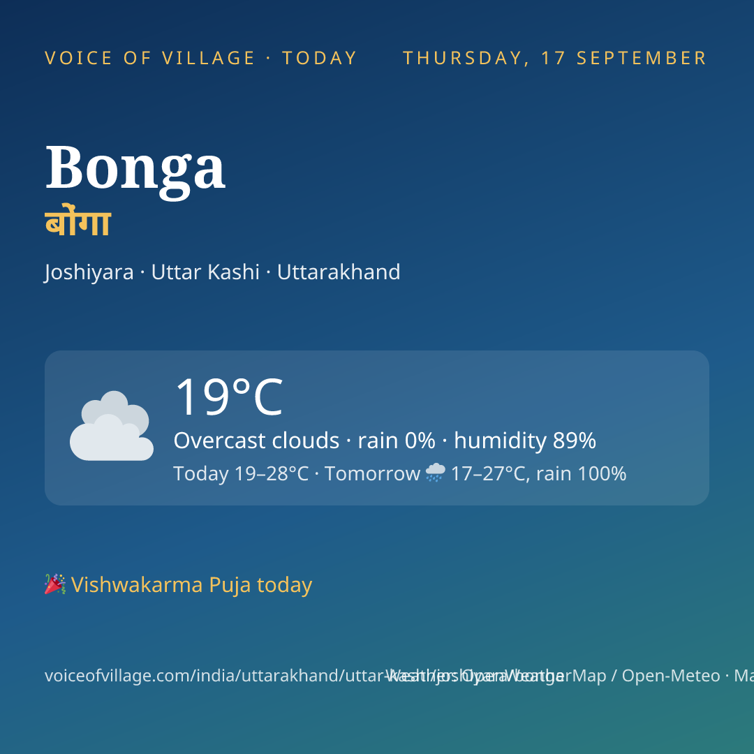 Bonga today