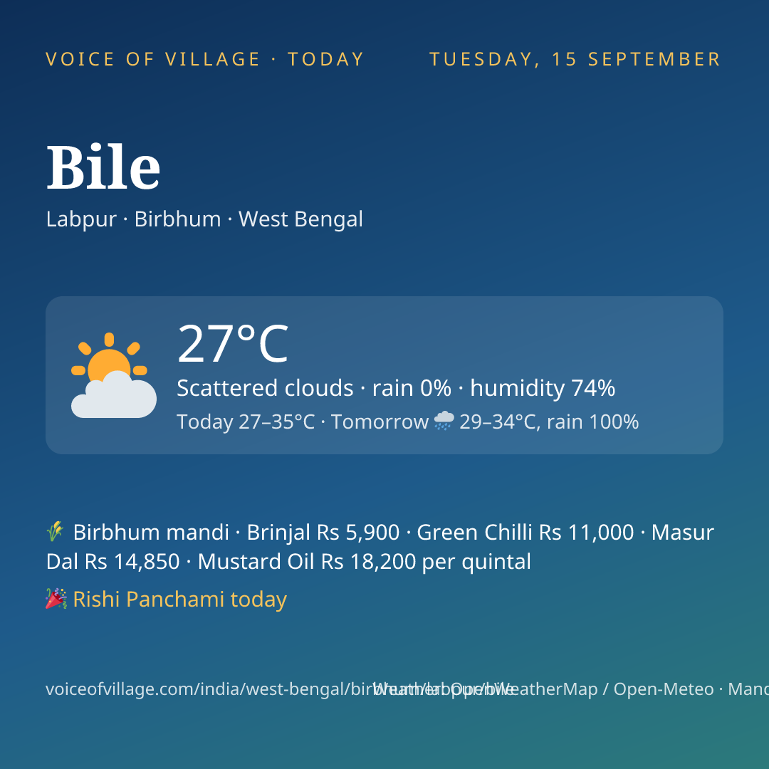 Bile today