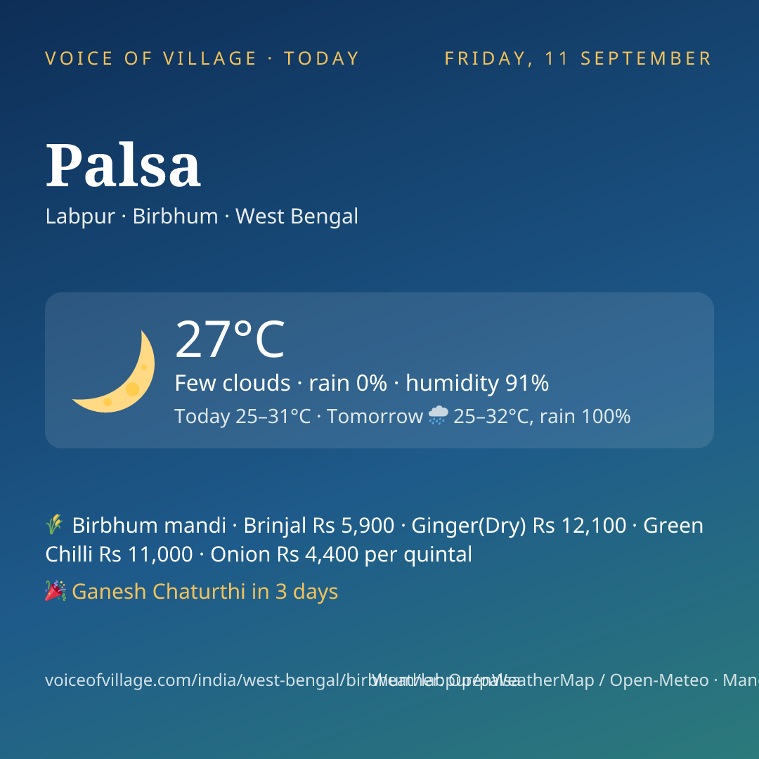 Palsa today