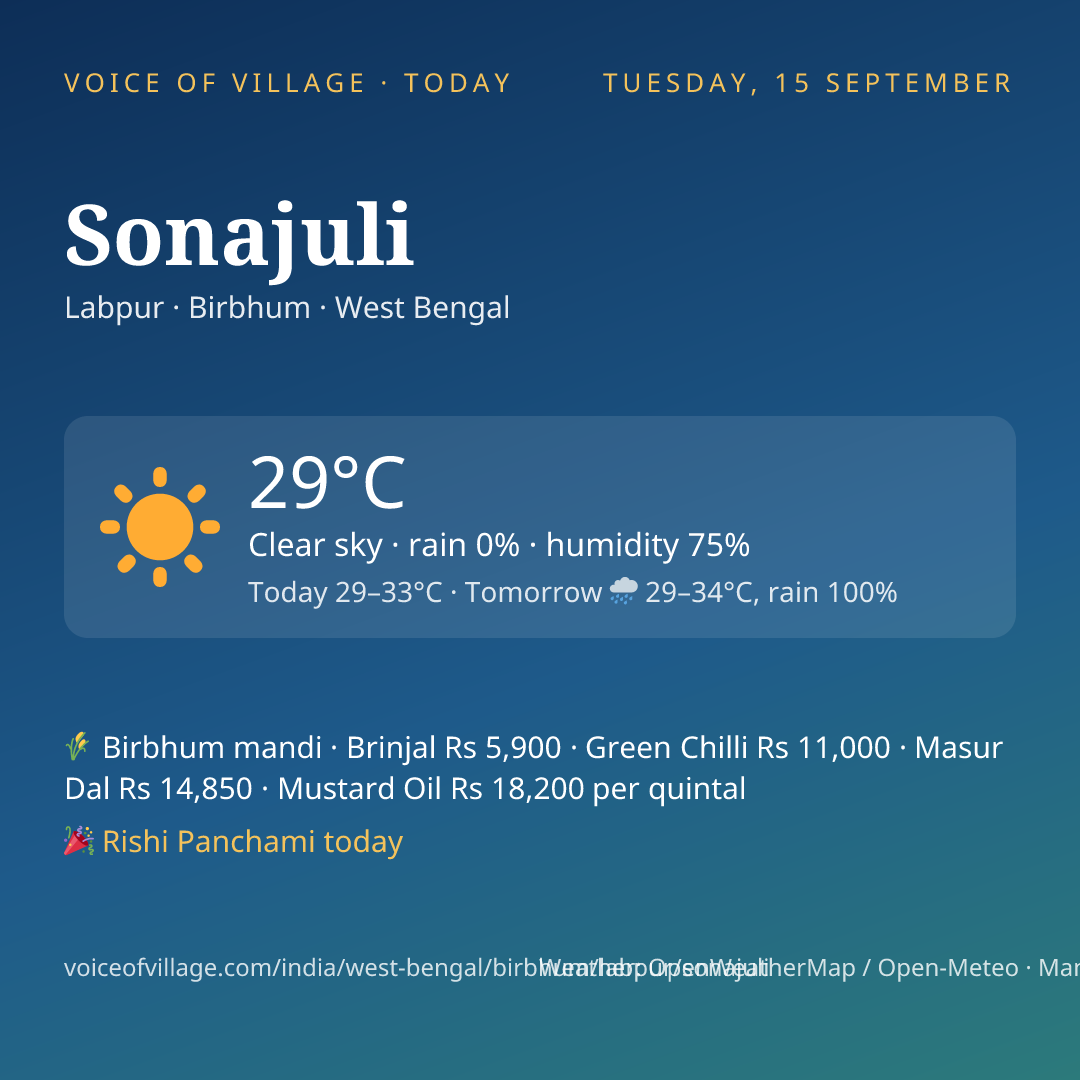 Sonajuli today