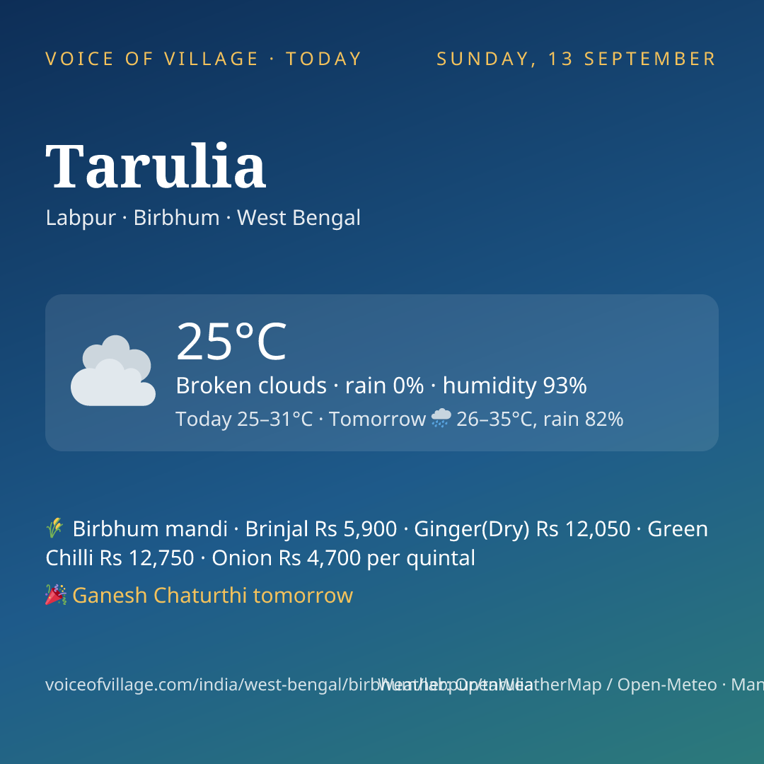 Tarulia today