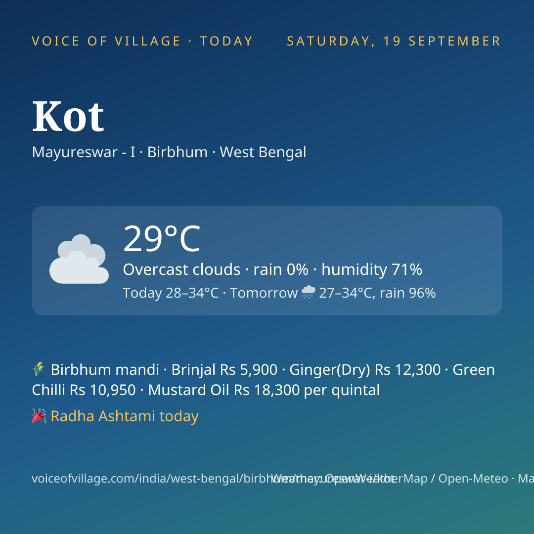 Kot today