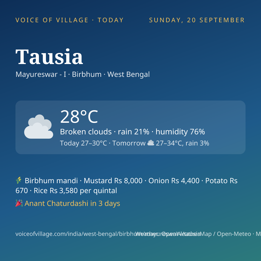 Tausia today