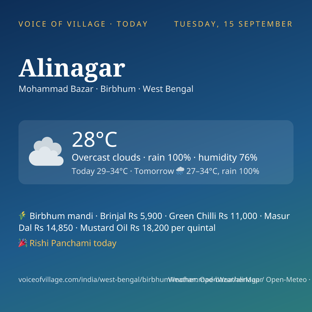 Alinagar today