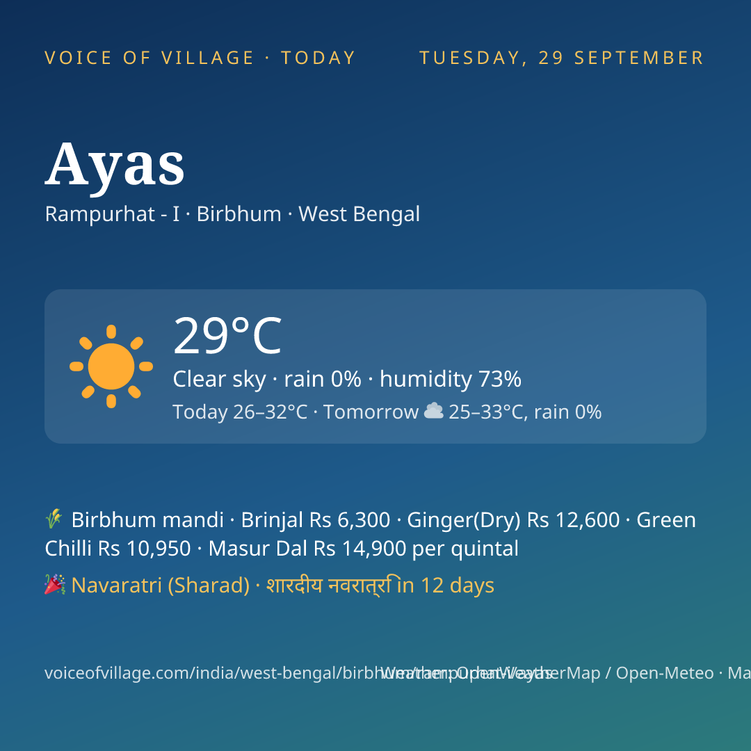 Ayas today