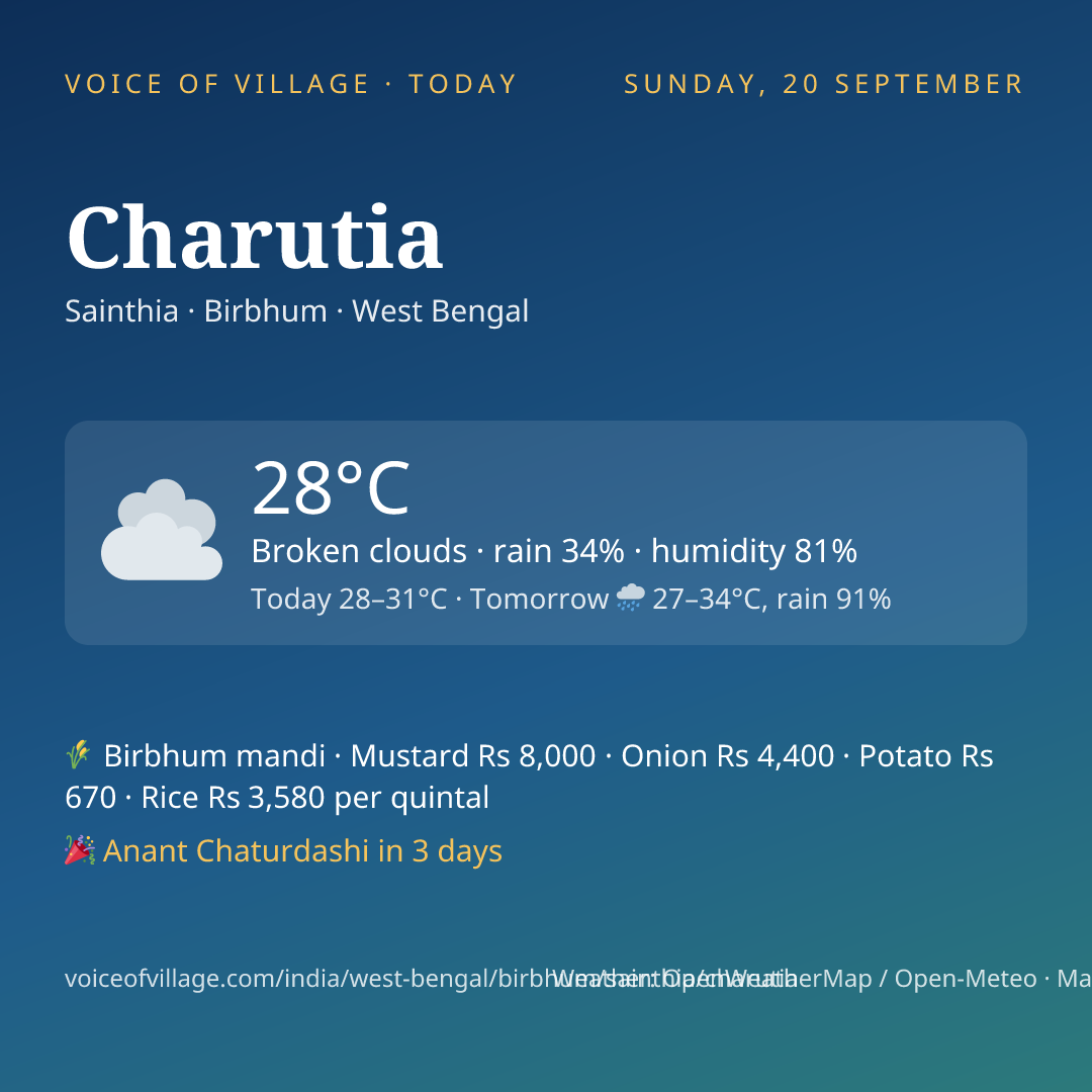 Charutia today