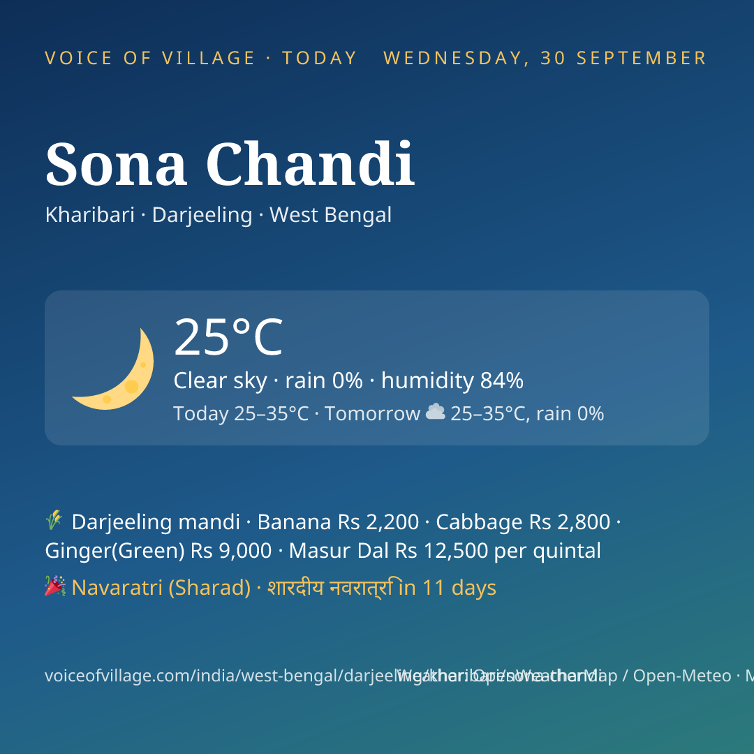 Sona Chandi today