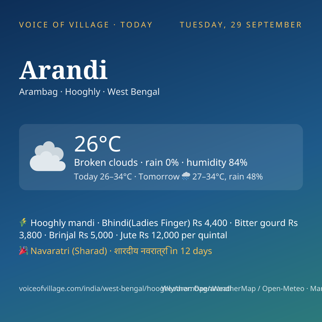 Arandi today