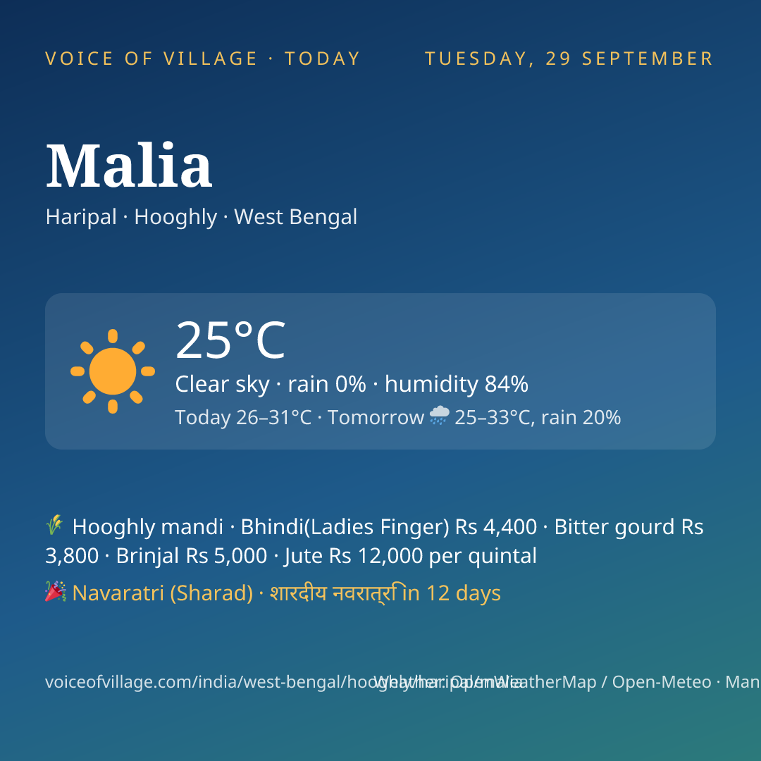 Malia today