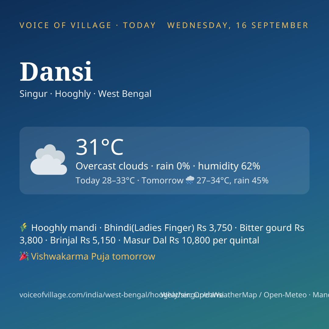 Dansi today