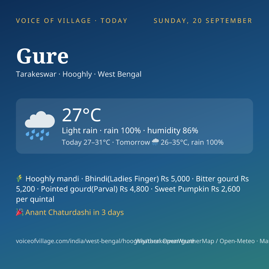 Gure today