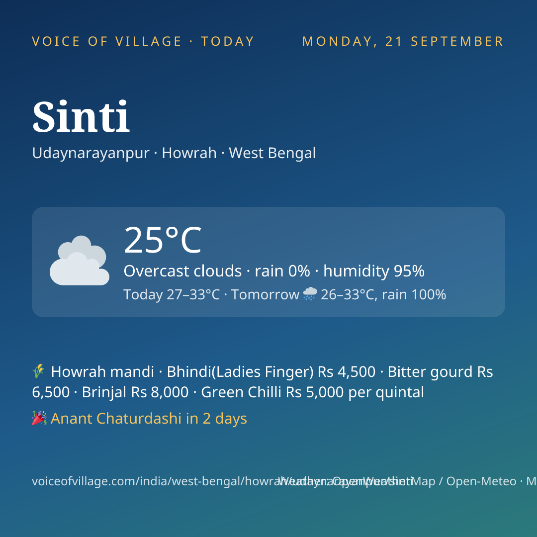 Sinti today
