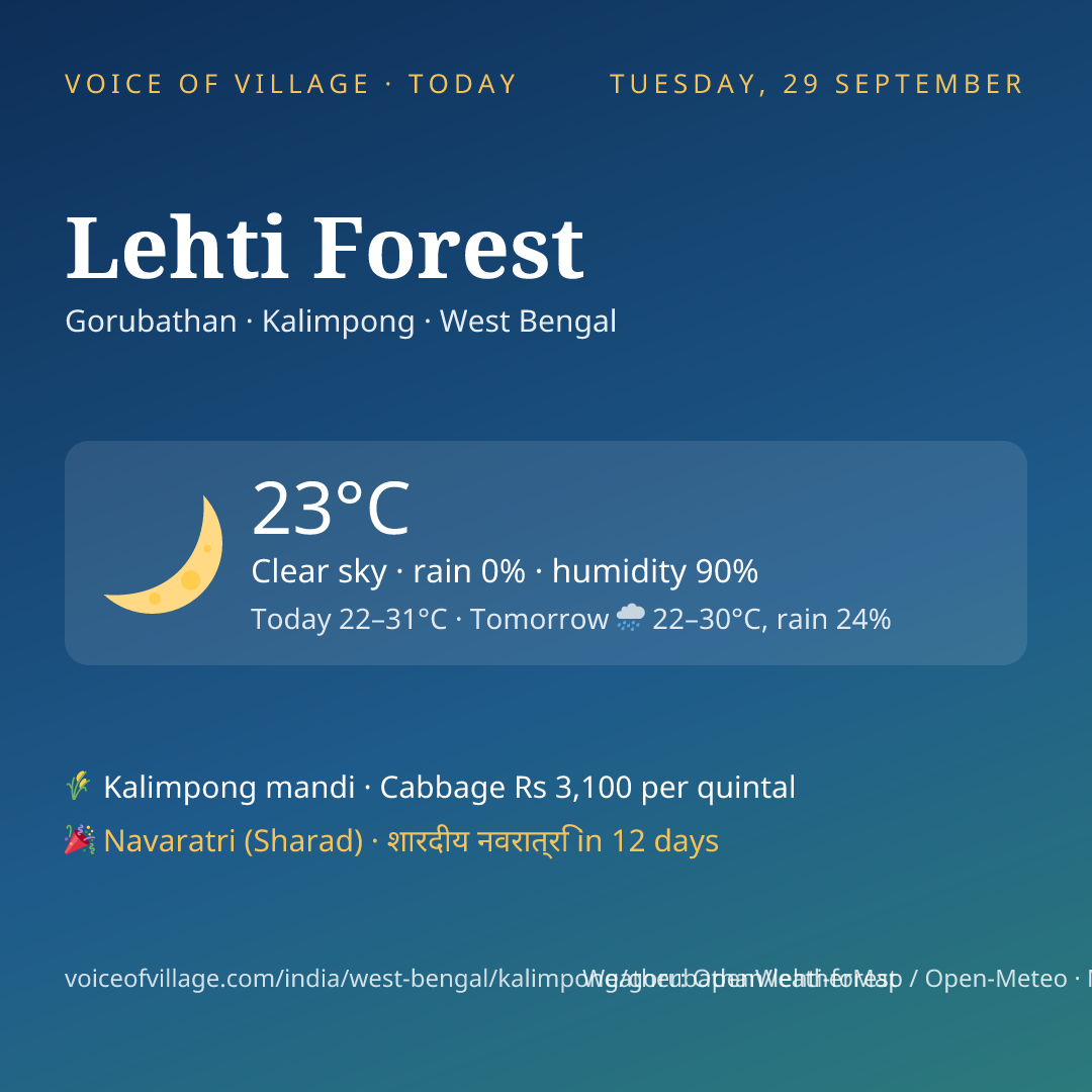Lehti Forest today