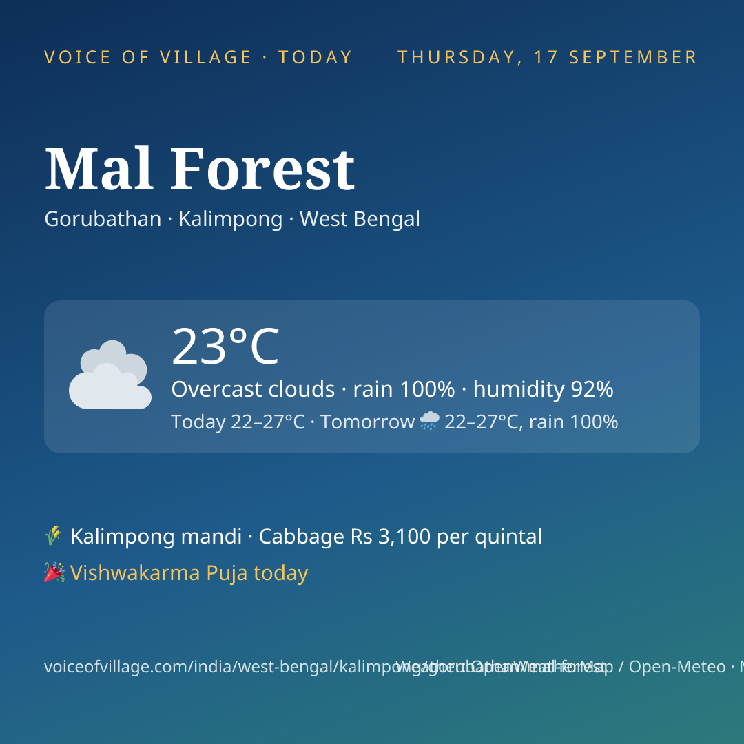 Mal Forest today