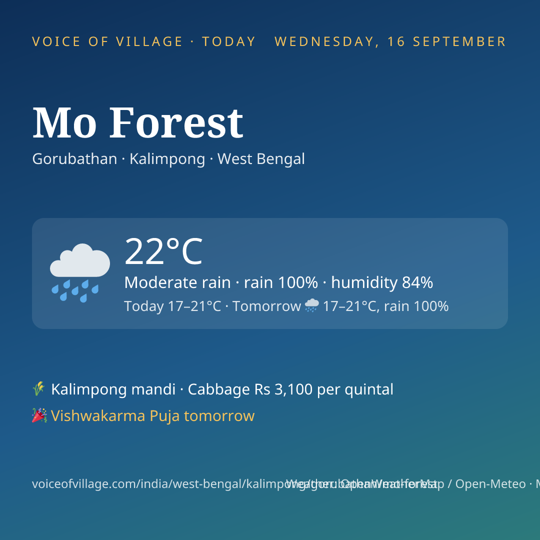 Mo Forest today