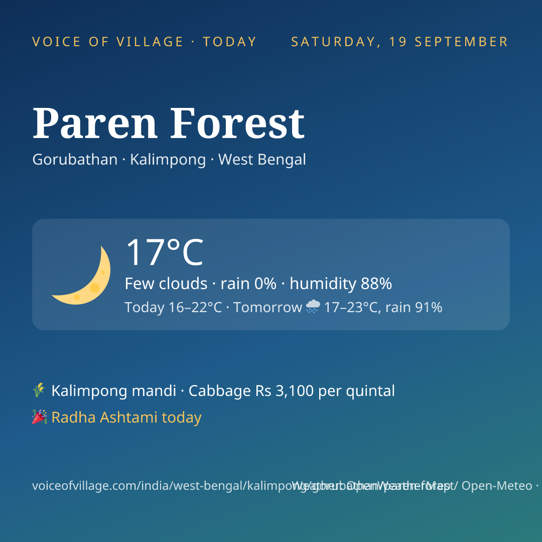 Paren Forest today