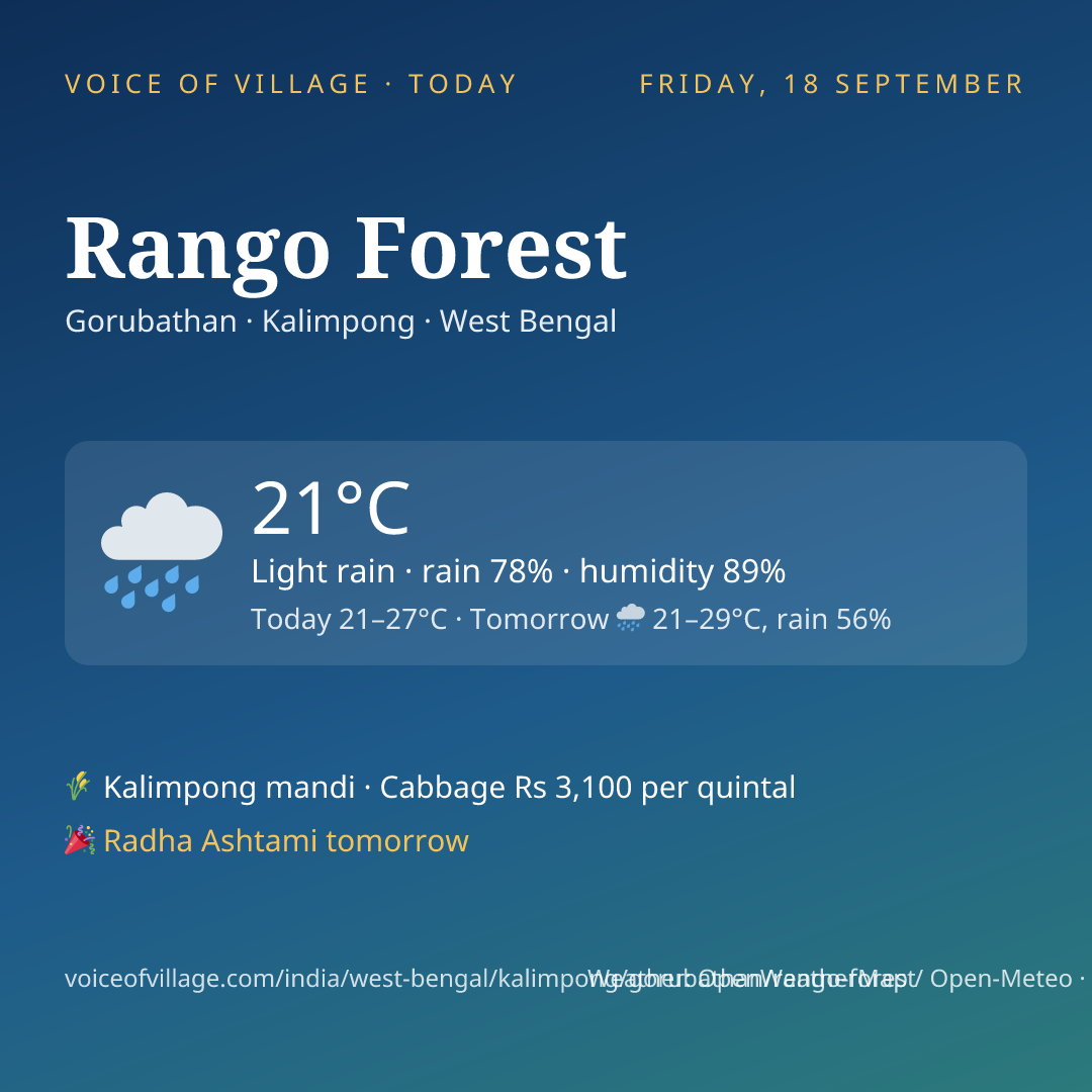 Rango Forest today