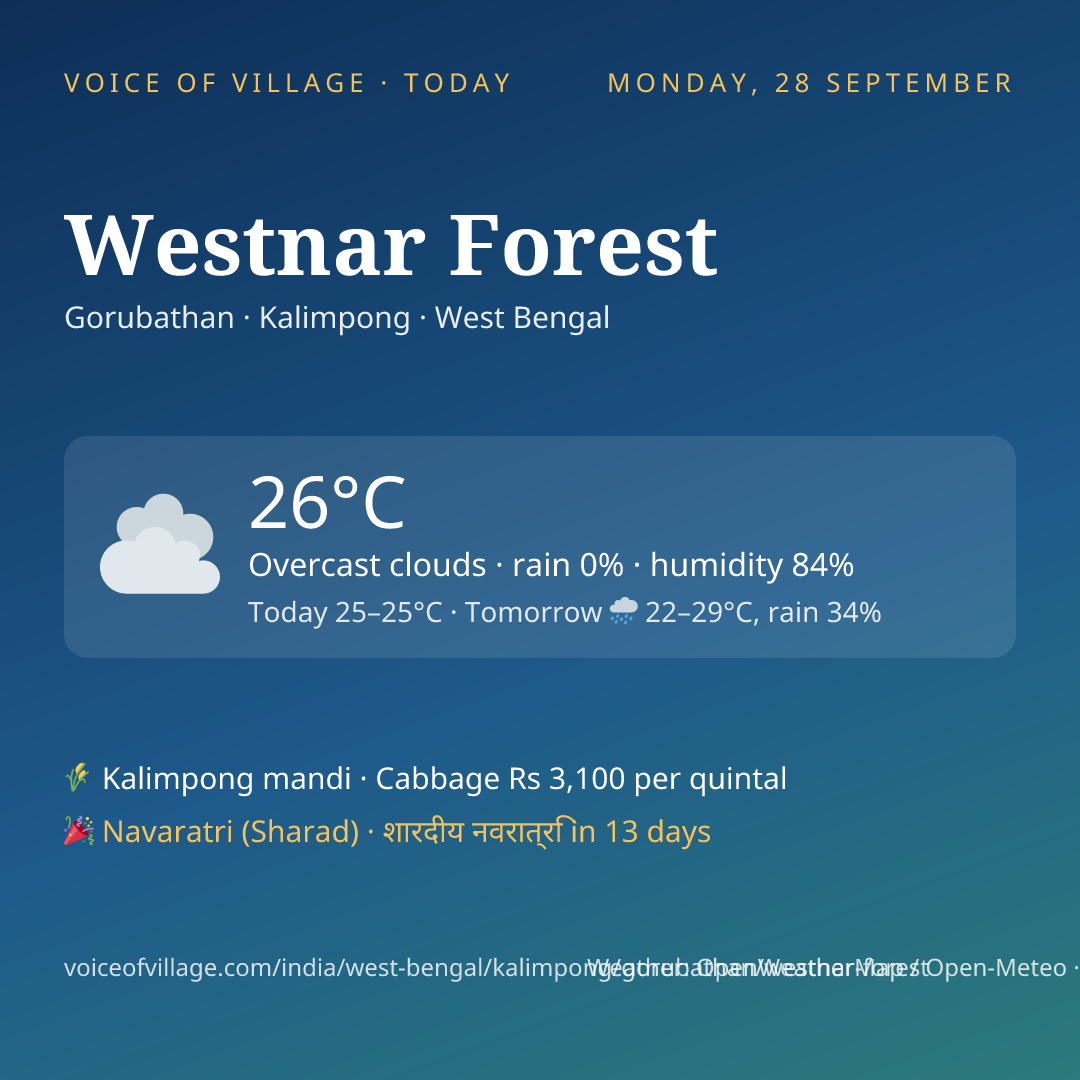 Westnar Forest today