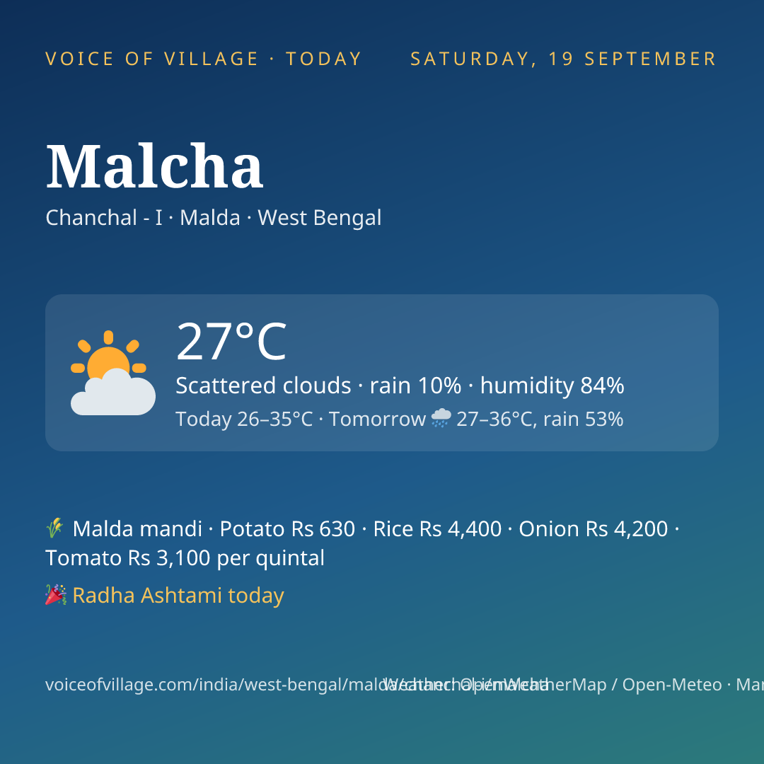 Malcha today
