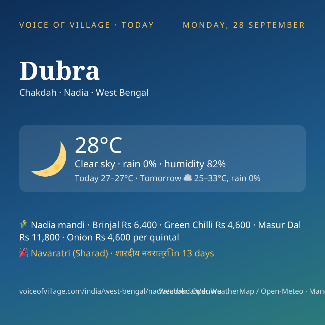 Dubra today
