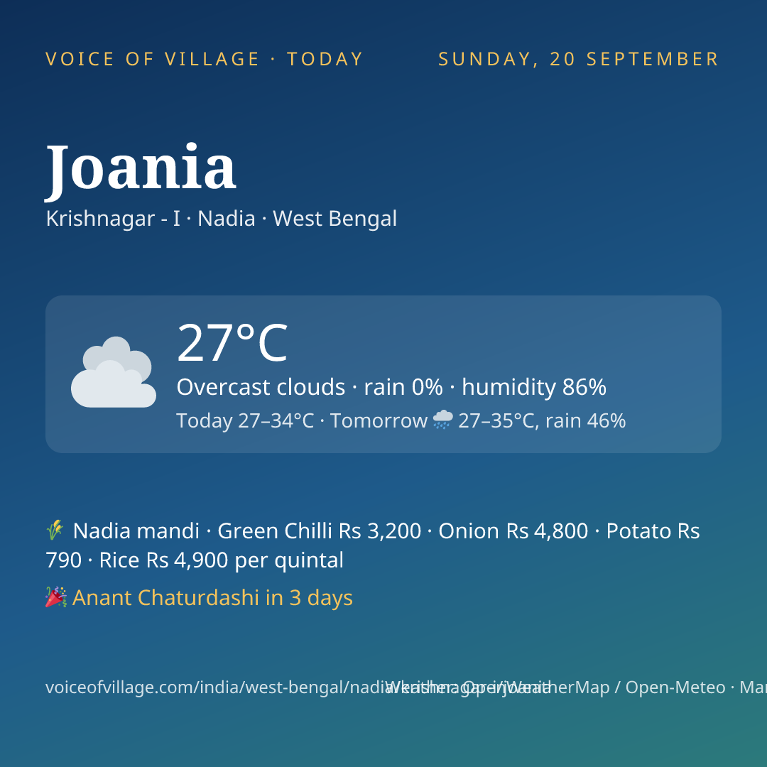 Joania today
