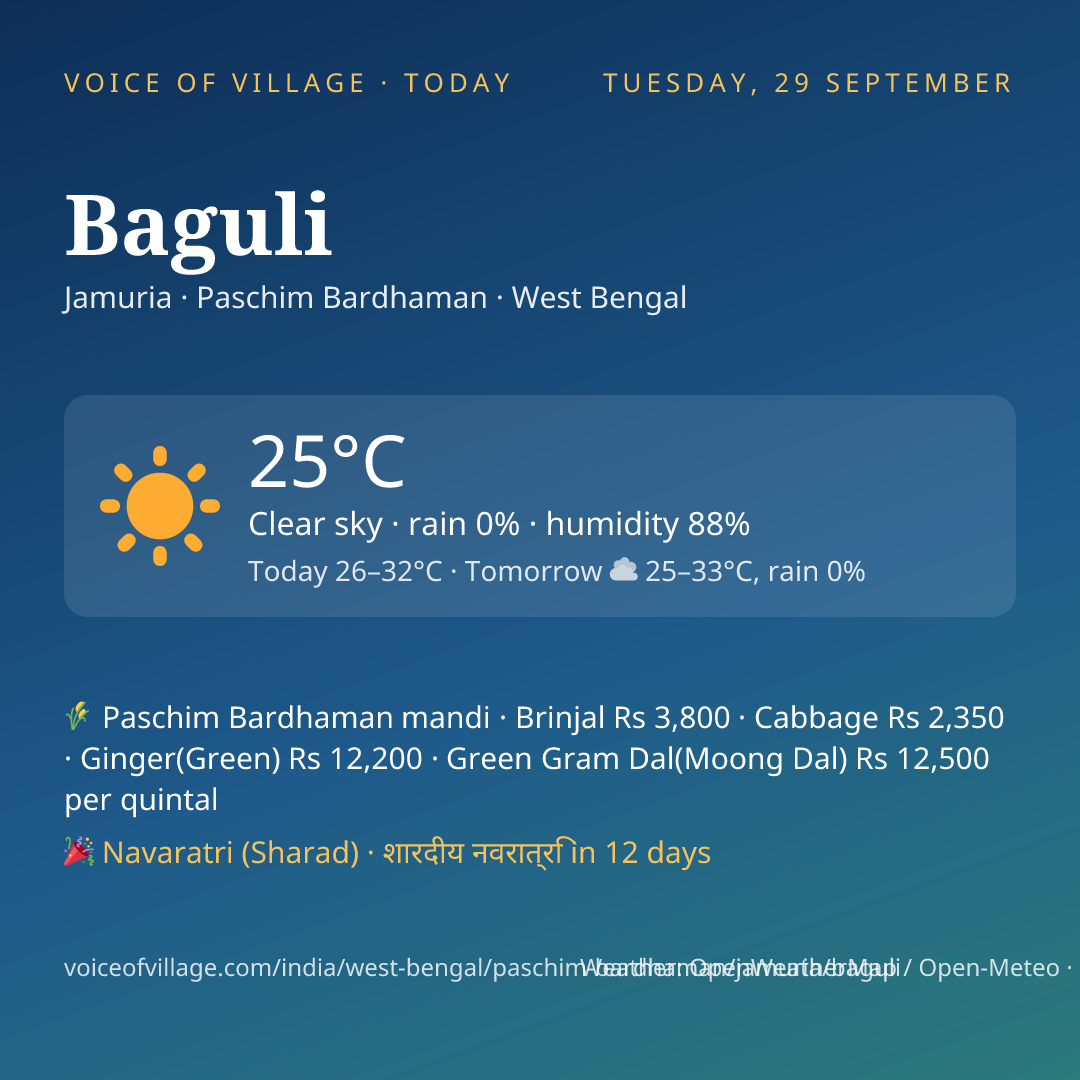 Baguli today