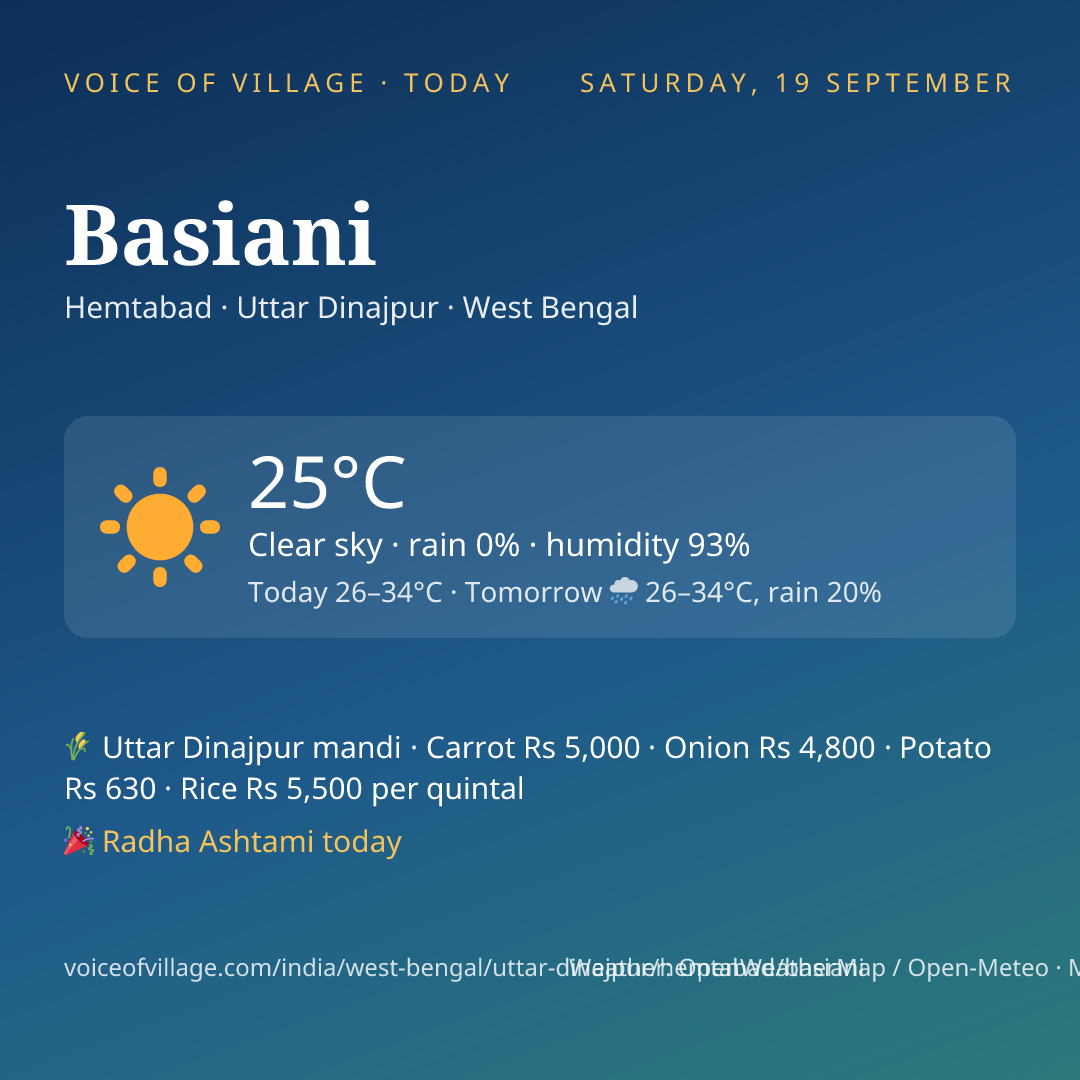 Basiani today